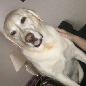 Meet your Posher, Karina